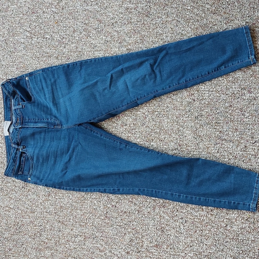 Everlane Curvy High Rise Skinny Jean